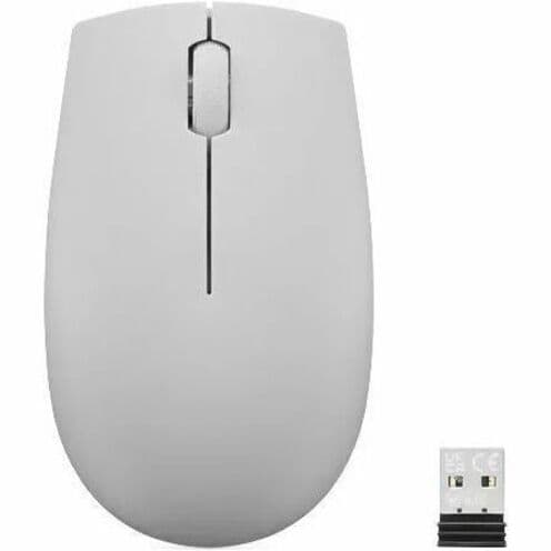 Lenovo 300 Wireless Compact Mouse (Arctic Grey)
